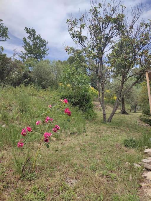 Auberge Des Esperels Rez De Maison Avec Jardin Figanières Kültér fotó