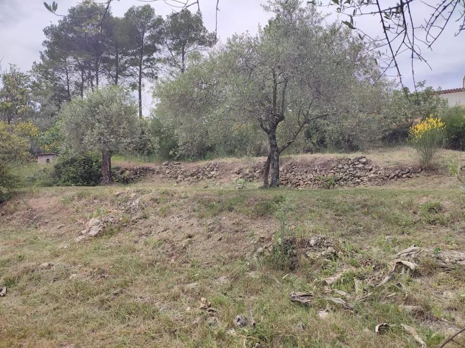 Auberge Des Esperels Rez De Maison Avec Jardin Figanières Kültér fotó